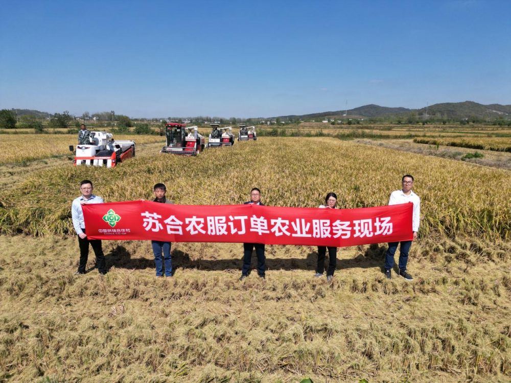 640 (2).png 640 (2).png