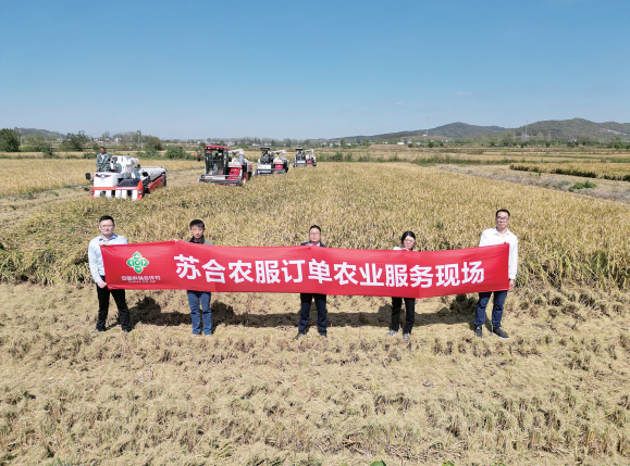 图片1.png 图片1.png